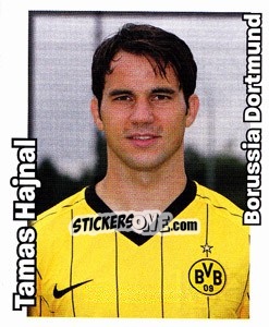 Sticker Tamas Hajnal - German Football Bundesliga 2008-2009 - Panini