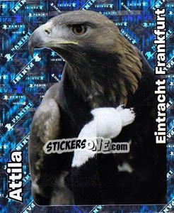 Sticker Attila - German Football Bundesliga 2008-2009 - Panini