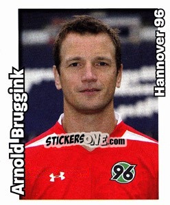 Sticker Arnold Bruggink - German Football Bundesliga 2008-2009 - Panini