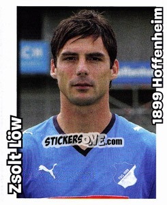 Sticker Zsolt Löw - German Football Bundesliga 2008-2009 n. 263 - Panini
