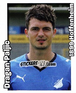 Sticker Dragan Paljic - German Football Bundesliga 2008-2009 - Panini