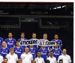 Sticker Team Sticker - German Football Bundesliga 2008-2009 n. 412 - Panini