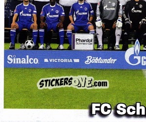 Figurina Team Sticker - German Football Bundesliga 2008-2009 - Panini