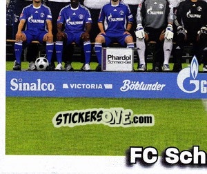 Sticker Team Sticker - German Football Bundesliga 2008-2009 n. 413 - Panini
