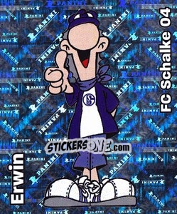 Sticker Erwin - German Football Bundesliga 2008-2009 - Panini