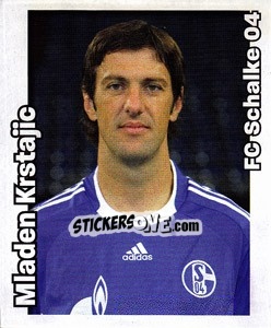 Sticker Mladen Krstajic - German Football Bundesliga 2008-2009 n. 420 - Panini