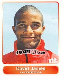 Sticker David James - SuperPlayers 1998 PFA Collection - Panini