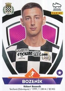 Sticker Robert Bozenik