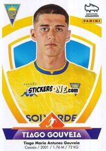 Cromo Tiago Gouveia - Futebol 2022-2023
 - Panini