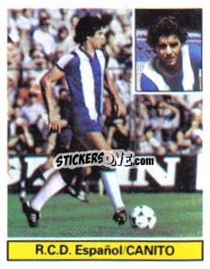 Sticker Canito - Liga Spagnola 1981-1982
 - Colecciones ESTE