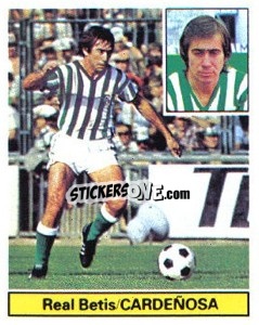 Sticker Cardeñosa - Liga Spagnola 1981-1982
 n. 28 - Colecciones ESTE