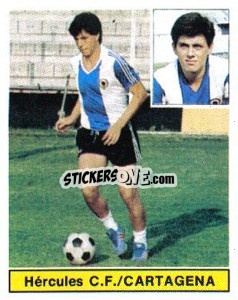 Sticker Cartagena - Liga Spagnola 1981-1982
 - Colecciones ESTE