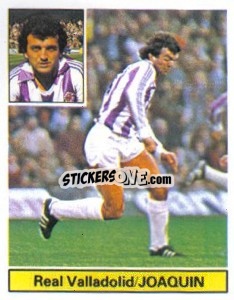 Cromo Joaquín - Liga Spagnola 1981-1982
 - Colecciones ESTE