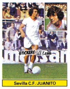 Sticker Juanito - Liga Spagnola 1981-1982
 n. 232 - Colecciones ESTE