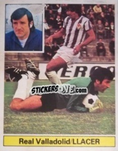 Sticker Llácer - Liga Spagnola 1981-1982
 n. 277 - Colecciones ESTE