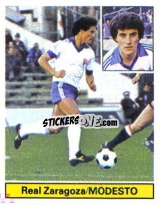 Sticker Modesto - Liga Spagnola 1981-1982
 n. 310 - Colecciones ESTE