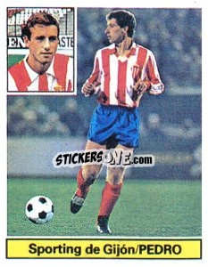 Cromo Pedro - Liga Spagnola 1981-1982
 - Colecciones ESTE