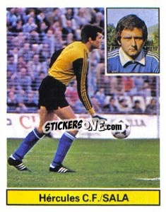 Cromo Sala - Liga Spagnola 1981-1982
 - Colecciones ESTE