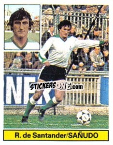 Sticker Sañudo - Liga Spagnola 1981-1982
 n. 212 - Colecciones ESTE