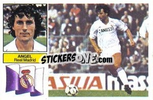 Cromo Ángel - Liga Spagnola 1982-1983
 - Colecciones ESTE