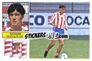 Sticker Esteban - Liga Spagnola 1982-1983
 - Colecciones ESTE