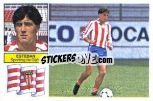 Sticker Esteban - Liga Spagnola 1982-1983
 n. 110 - Colecciones ESTE