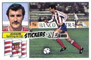 Sticker Joaquín - Liga Spagnola 1982-1983
 n. 105 - Colecciones ESTE