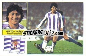 Sticker Pato Yañez - Liga Spagnola 1982-1983
 n. 325 - Colecciones ESTE
