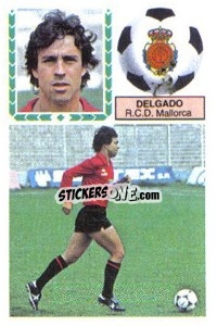 Cromo Delgado - Liga Spagnola 1983-1984
 - Colecciones ESTE
