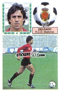 Sticker Delgado - Liga Spagnola 1983-1984
 n. 191 - Colecciones ESTE