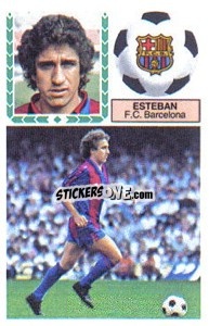 Cromo Esteban - Liga Spagnola 1983-1984
 - Colecciones ESTE