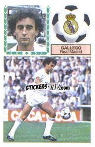 Cromo Gallego - Liga Spagnola 1983-1984
 - Colecciones ESTE