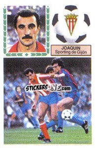 Sticker Joaquín - Liga Spagnola 1983-1984
 n. 109 - Colecciones ESTE