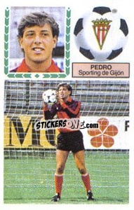 Cromo Pedro - Liga Spagnola 1983-1984
 - Colecciones ESTE