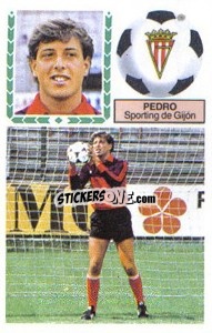 Sticker Pedro - Liga Spagnola 1983-1984
 n. F36b - Colecciones ESTE