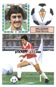 Cromo Pelegrin - Liga Spagnola 1983-1984
 - Colecciones ESTE