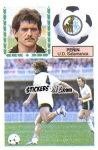 Sticker Peñin - Liga Spagnola 1983-1984
 - Colecciones ESTE