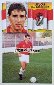 Cromo 21 Ayucar (Burgos) - Liga Spagnola 1990-1991
 - Colecciones ESTE