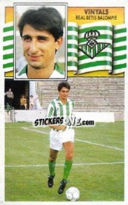 Sticker 22 Vinyals (Betis) - Liga Spagnola 1990-1991
 - Colecciones ESTE
