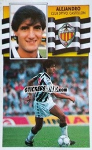 Sticker Alejandro - Liga Spagnola 1990-1991
 - Colecciones ESTE