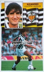Sticker Alejandro - Liga Spagnola 1990-1991
 n. 106 - Colecciones ESTE