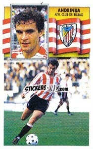 Cromo Andrinua - Liga Spagnola 1990-1991
 - Colecciones ESTE