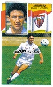 Sticker Antoñito - Liga Spagnola 1990-1991
 n. 297 - Colecciones ESTE