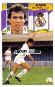 Sticker Aragón - Liga Spagnola 1990-1991
 n. 214 - Colecciones ESTE