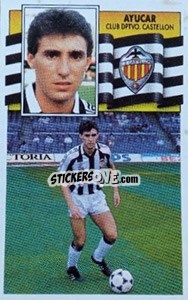 Sticker Ayucar - Liga Spagnola 1990-1991
 n. 113 - Colecciones ESTE