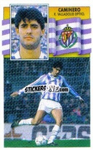 Cromo Caminero - Liga Spagnola 1990-1991
 - Colecciones ESTE