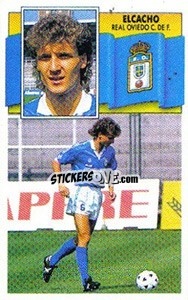 Sticker Elcacho - Liga Spagnola 1990-1991
 - Colecciones ESTE