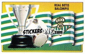 Sticker Escudo y bandera - Liga Spagnola 1990-1991
 n. 24 - Colecciones ESTE