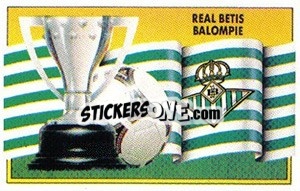 Sticker Escudo y bandera - Liga Spagnola 1990-1991
 - Colecciones ESTE