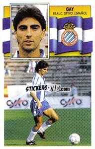 Cromo Gay - Liga Spagnola 1990-1991
 - Colecciones ESTE